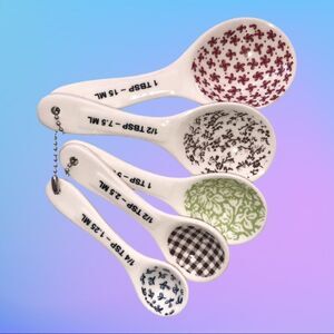 Rae Dunn classic ceramic Measuring Spoon set